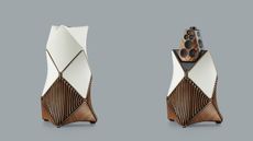 Bang & Olufsen Beolab 90 Monarch edition