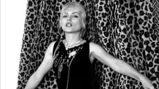 Blondie sheila rock